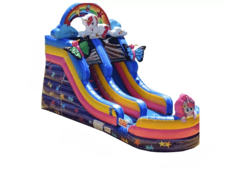 water slide inflatable in Wimauma